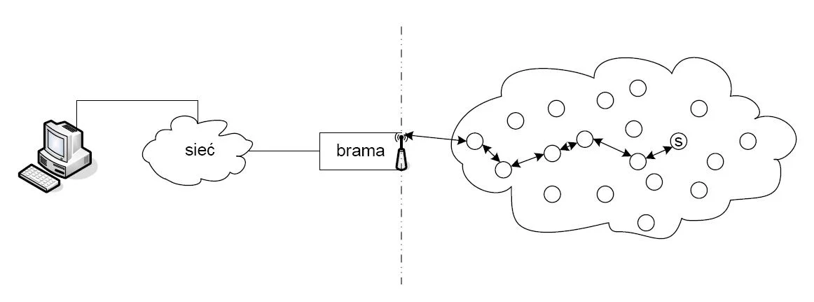 Wireless sensor network topology