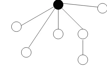 Wireless network topology